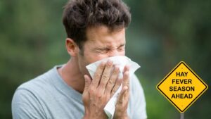 Hay Fever