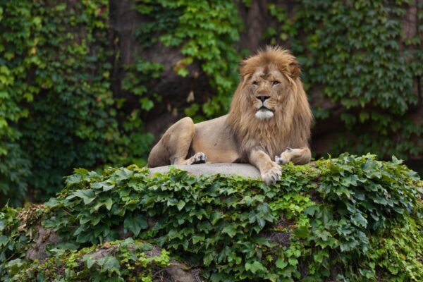 Zoo
